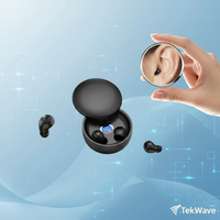 Hidden Audio Wireless Earbuds™